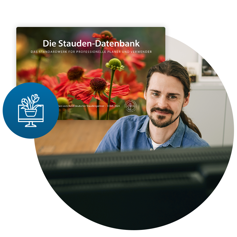 staudendatenbank-header